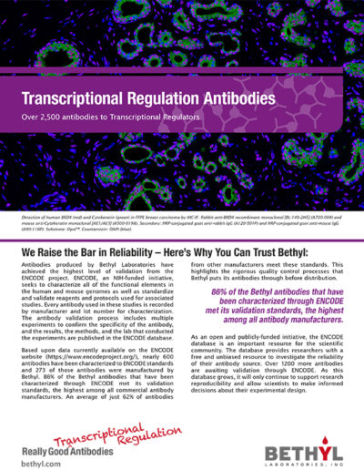 ASHG Transcriptional Regulation Flyer Page 1